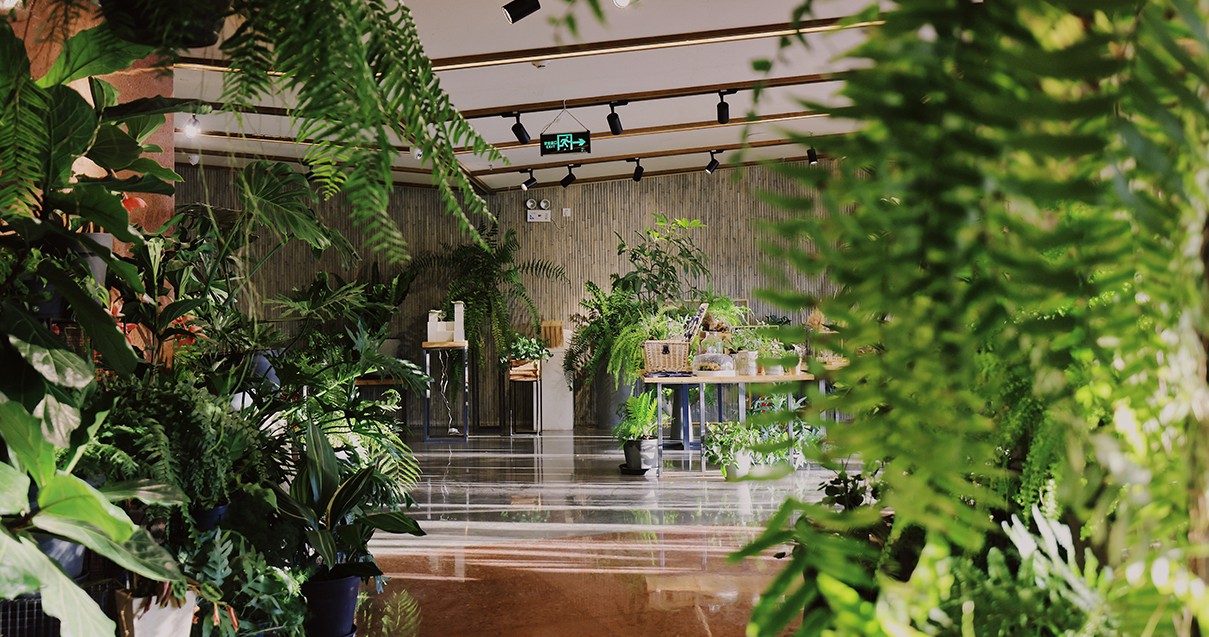 新宝GG奥莱·滇池小镇