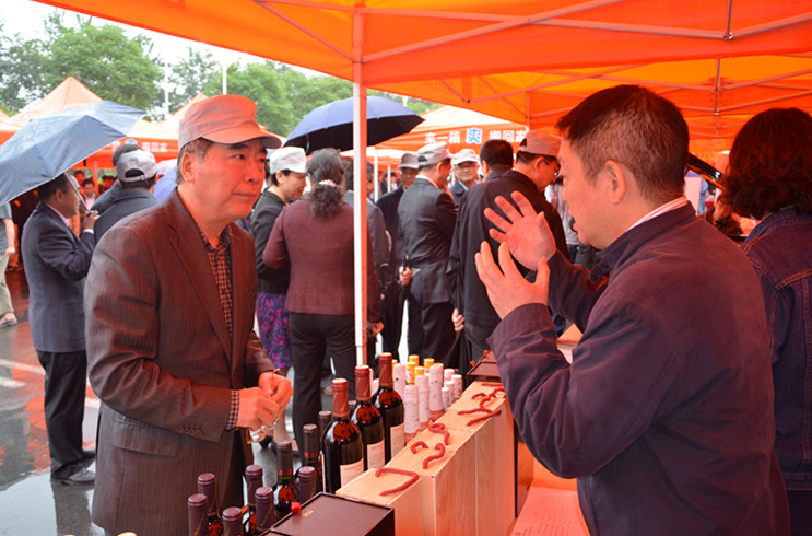 新宝GG—创立事业平台