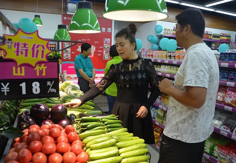 新宝GG—创立事业平台