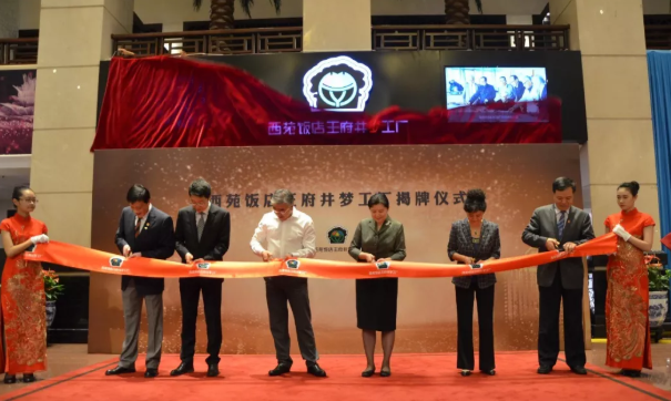 新宝GG—创立事业平台