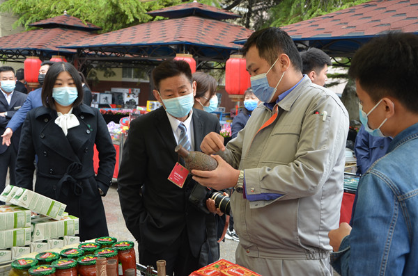 新宝GG—创立事业平台