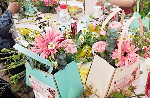 新宝GG—创立事业平台