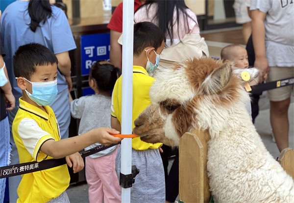 新宝GG—创立事业平台