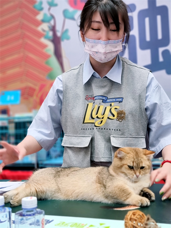 新宝GG—创立事业平台