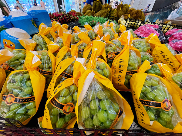 新宝GG—创立事业平台