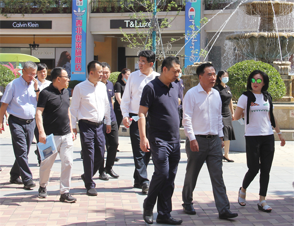 新宝GG—创立事业平台