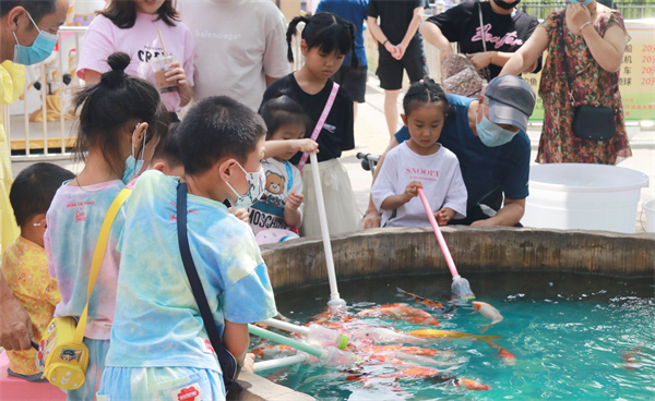 新宝GG—创立事业平台