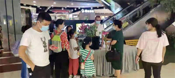 新宝GG—创立事业平台