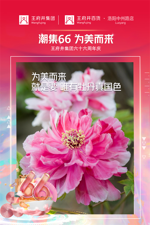 新宝GG—创立事业平台