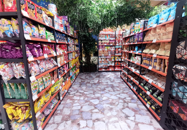 新宝GG—创立事业平台