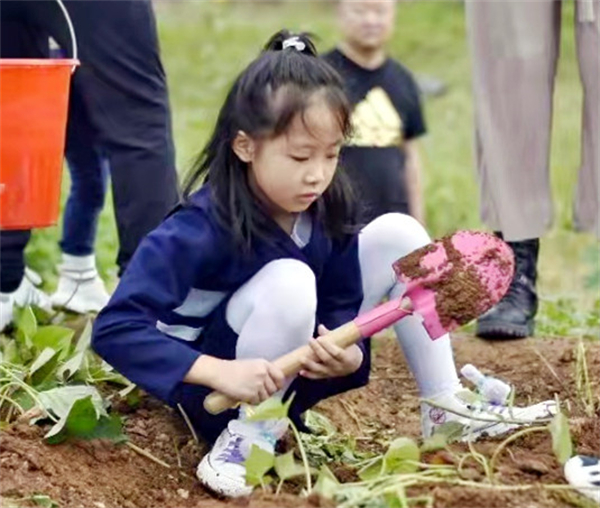 新宝GG—创立事业平台