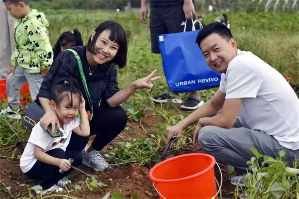 新宝GG—创立事业平台