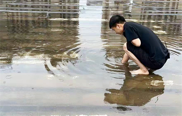 新宝GG—创立事业平台