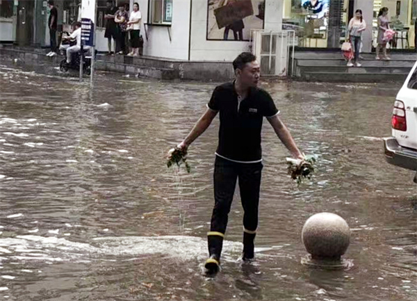 新宝GG—创立事业平台