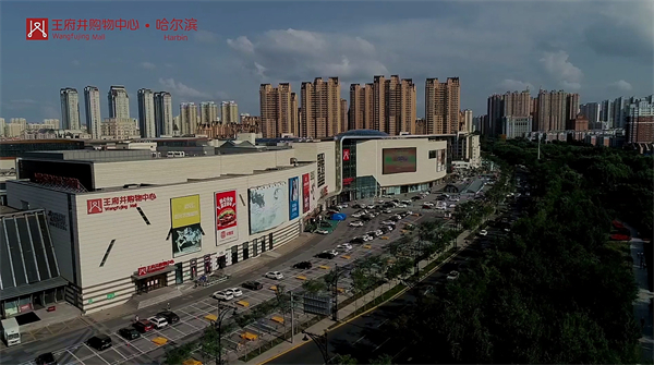 新宝GG—创立事业平台