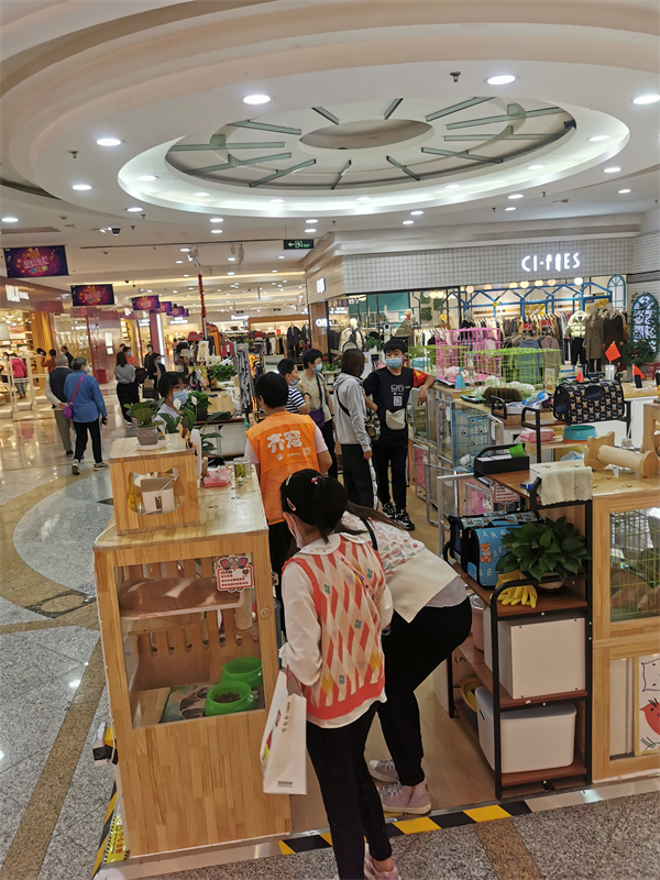 新宝GG—创立事业平台