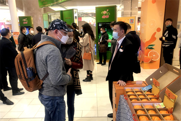 新宝GG—创立事业平台