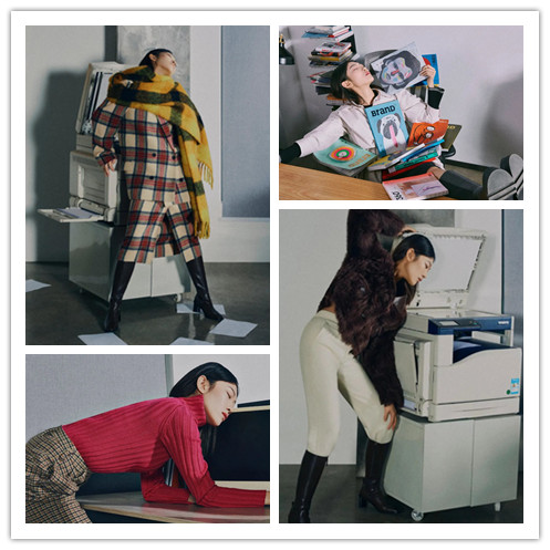 新宝GG—创立事业平台