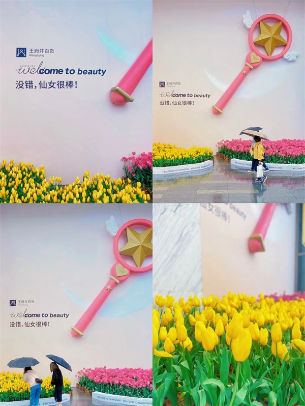 新宝GG—创立事业平台