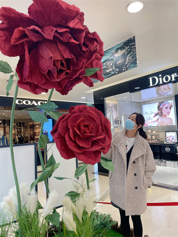 新宝GG—创立事业平台