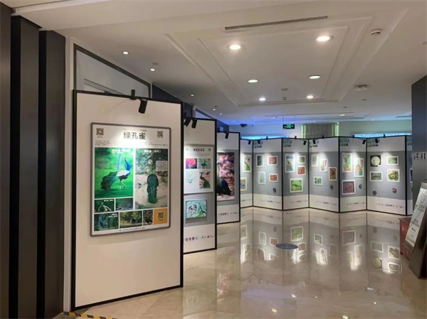 新宝GG—创立事业平台