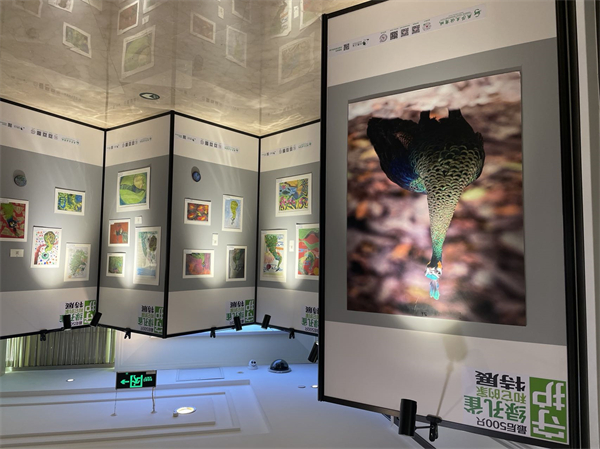 新宝GG—创立事业平台