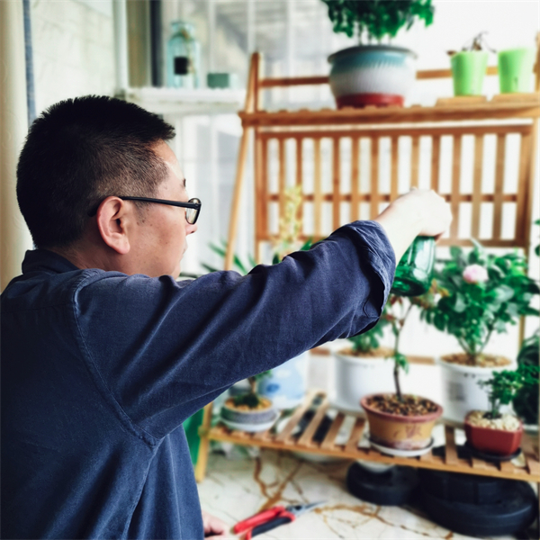 新宝GG—创立事业平台