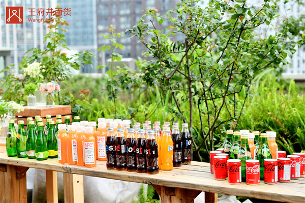 新宝GG—创立事业平台