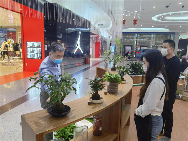 新宝GG—创立事业平台