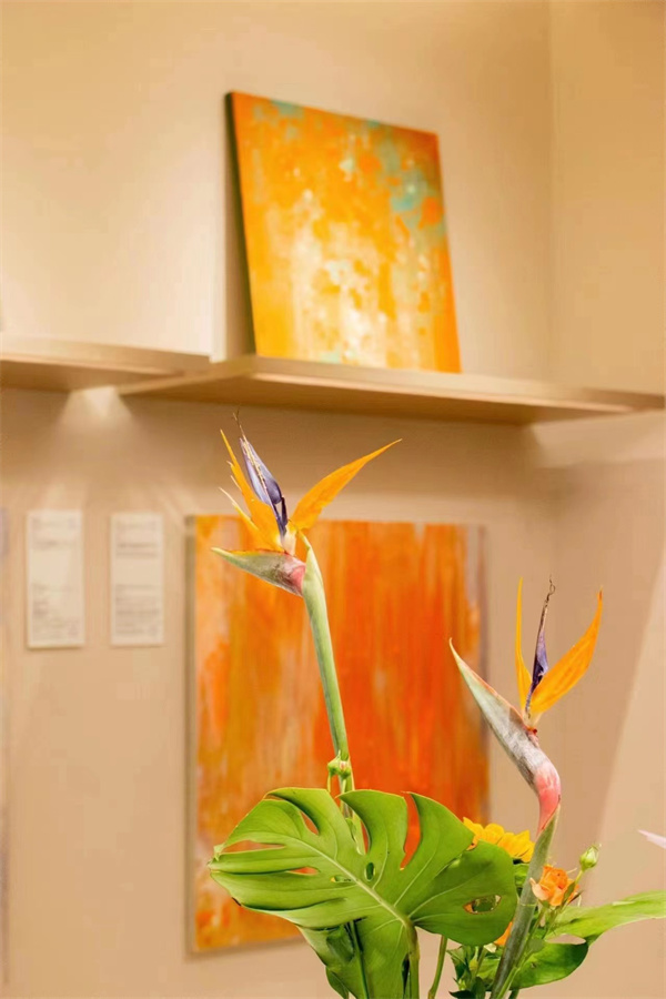 新宝GG—创立事业平台