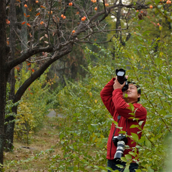 新宝GG—创立事业平台