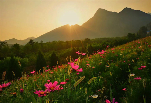 新宝GG—创立事业平台