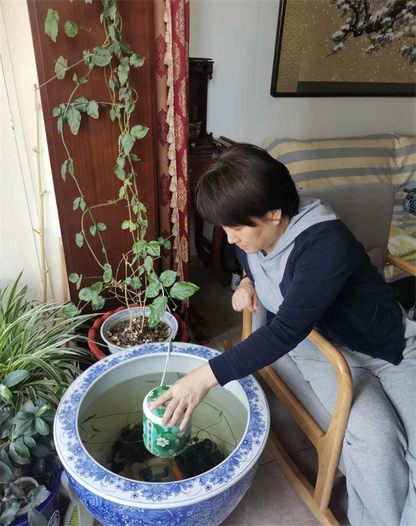 新宝GG—创立事业平台