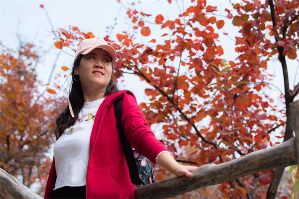 新宝GG—创立事业平台