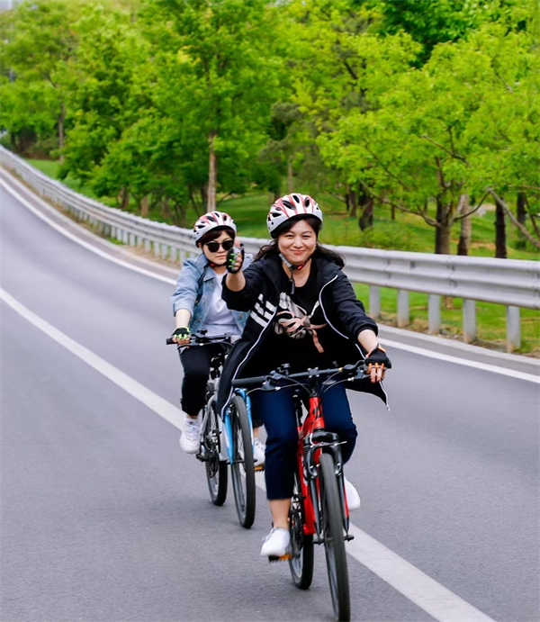 新宝GG—创立事业平台