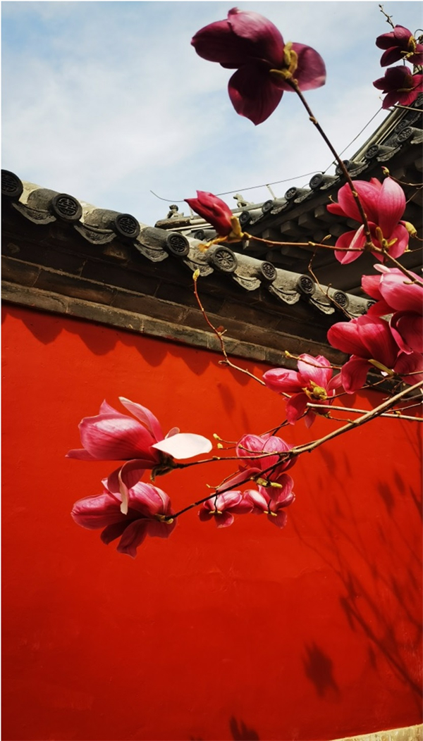 新宝GG—创立事业平台