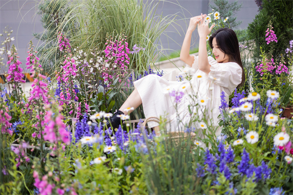 新宝GG—创立事业平台