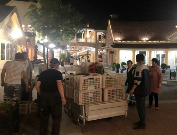 新宝GG—创立事业平台