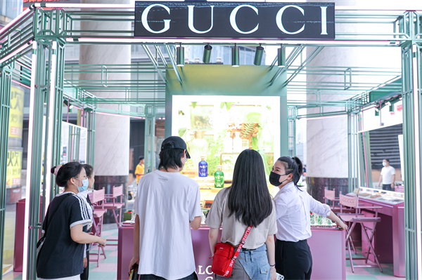 新宝GG—创立事业平台