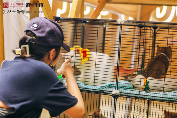 新宝GG—创立事业平台