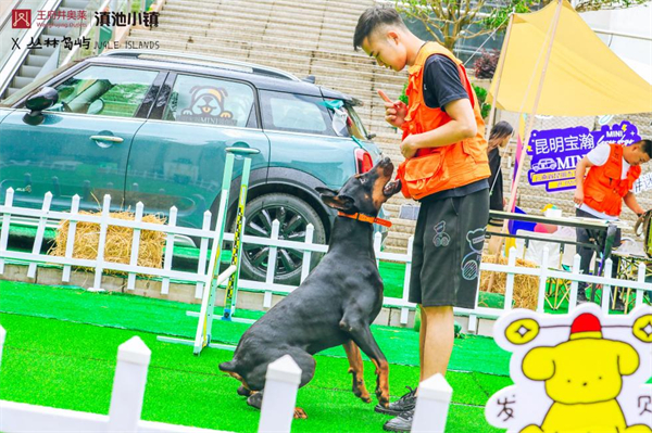 新宝GG—创立事业平台