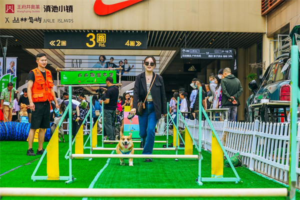 新宝GG—创立事业平台