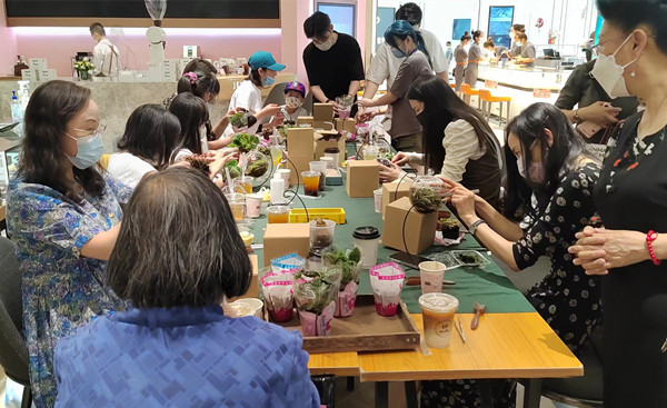 新宝GG—创立事业平台