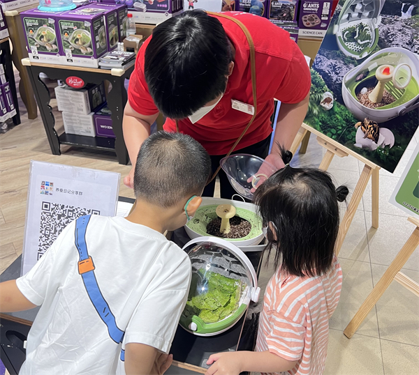 新宝GG—创立事业平台